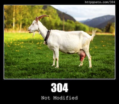 304 Not Modified & Goats