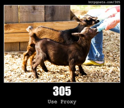 305 Use Proxy & Goats
