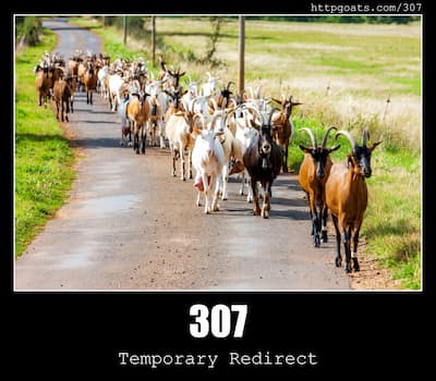 307 Temporary Redirect & Goats