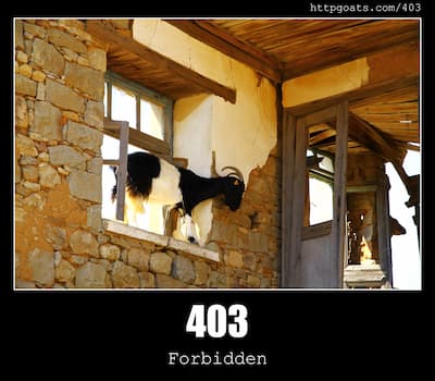403 Forbidden & Goats