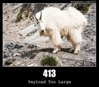 413 Payload Too Large