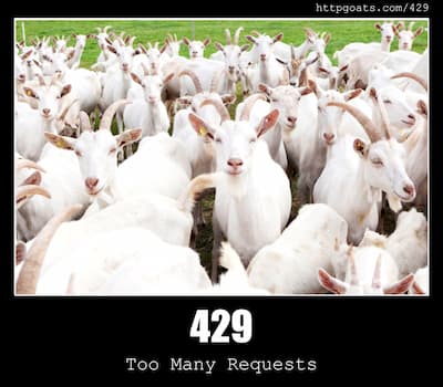 429 Too Many Requests & Goats