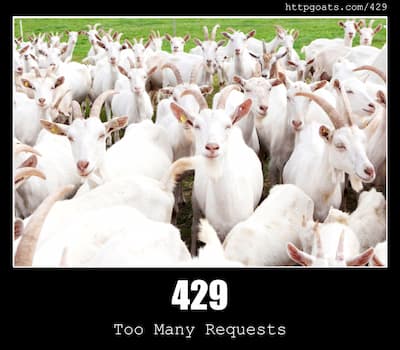 429 Too Many Requests - HTTP status code and dogs!