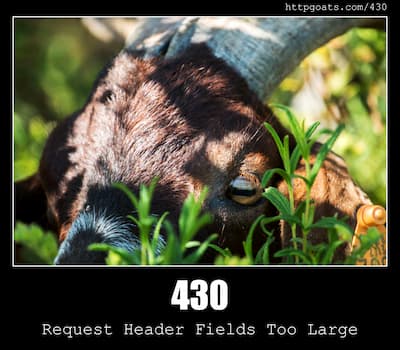 430 Request Header Fields Too Large & Goats