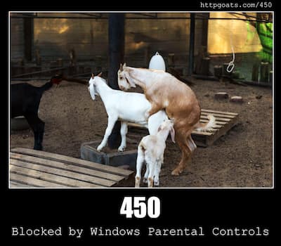 450 Blocked by Windows Parental Controls