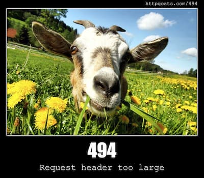 494 Request header too large & Goats