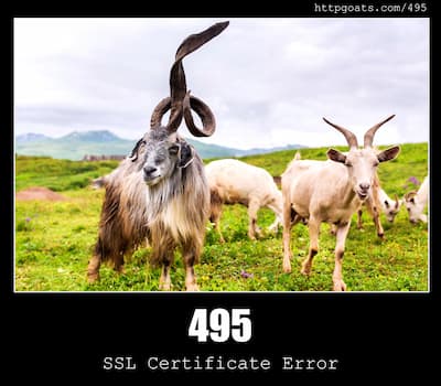 495 SSL Certificate Error
