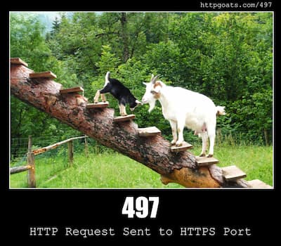497 HTTP Request Sent to HTTPS Port & Goats