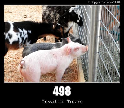 498 Invalid Token & Goats