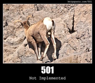 501 Not Implemented & Goats