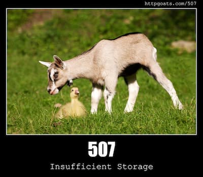 507 Insufficient Storage & Goats