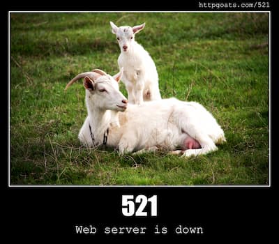 521 Web server is down & Goats