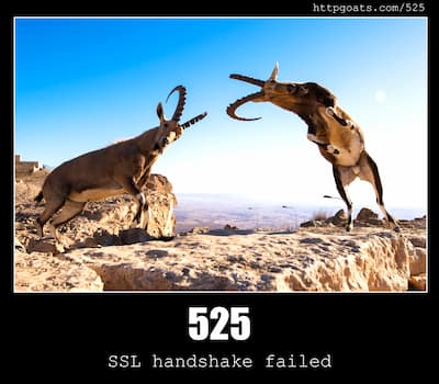 525 SSL handshake failed