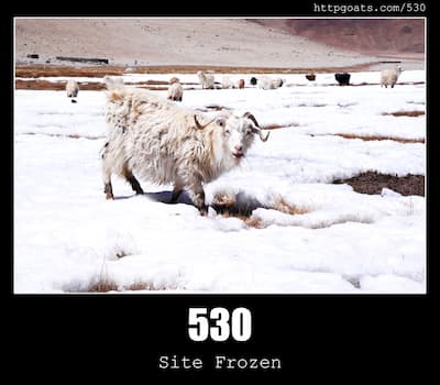 530 Site Frozen & Goats