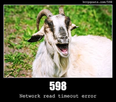 598 Network read timeout error & Goats